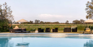 cabane de guardians 7