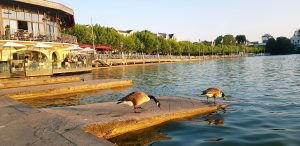 grand hotel enghien (11)