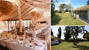 domaine atypique et sauvage en camargue laupio et sa terrasse