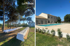 domaine atypique et sauvage en camargue pinède