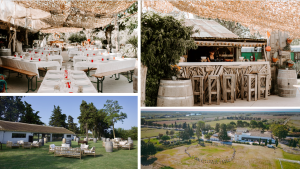 domaine atypique et sauvage en camargue pinède suite