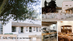 domaine atypique et sauvage en camargue salle mireille et terrasse
