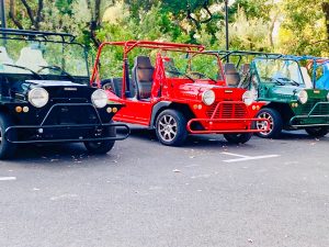 séminaire de charme dans l'arriere pays niçois (1)