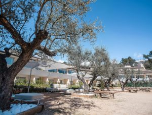 hotel contemporain en plein nature pour seminaires nice (3)
