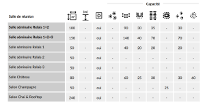 domaine des vigiers chateau et relais en dordogne, séminaire (1)