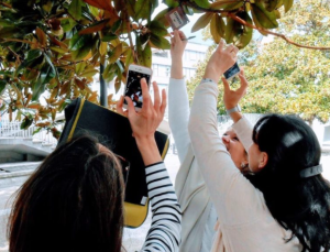 rallye photo chasse au trésor urbaine (1)