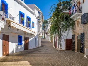 seminaire a ibiza (1)