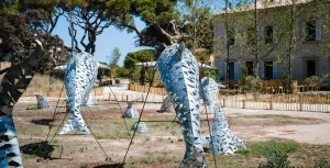 ecolodge près de hyeres presqu'ile de giens (15)