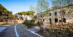 ecolodge près de hyeres presqu'ile de giens (7)