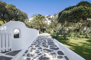 séminaire incentive a mykonos (1)