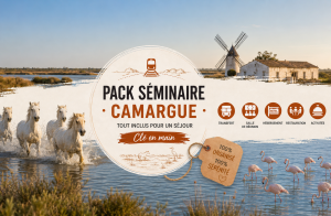 Pack séminaire en Camargue tout compris pour entreprise