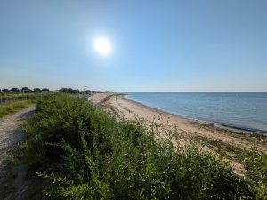 seminaire ile de ré plage de l'hotel