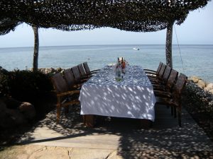 incentive corse groupe seminaire (4)