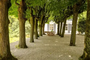 séminaire au vert bievres (6)