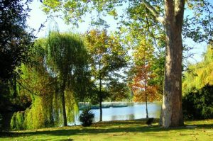 seminaire au vert bois de vincennes chalet privatisable (2)