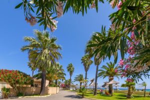 seminaire bastia 3 jours au cap corse (12)