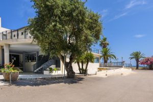 seminaire bastia 3 jours au cap corse (13)