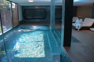 séminaire corse, radisson blu ajaccio (2)