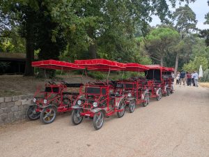team building parc floral paris (1)