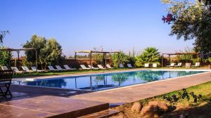 ecolodge seminaire marrakech, piscine