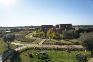 ecolodge seminaire marrakech, 2.5 hectares