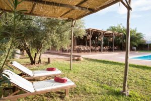 ecolodge seminaire marrakech transat au bord de la piscine
